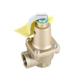 Raypak 007758F 125# Pressure Relief Valve