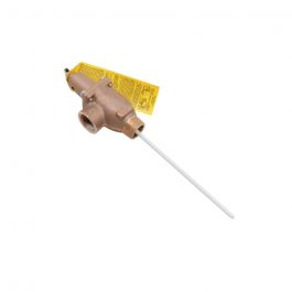 Lochinvar & A.O. Smith 100111724 Temperature and Pressure Valve 3/4" NPT 125 PSI