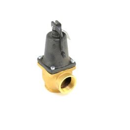 Lochinvar & A.O. Smith 100167367 1-1/4" Relief Valve 125 PSI 5.543M BTU