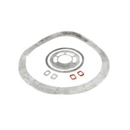 Lochinvar & A.O. Smith 100277716 Gasket Set