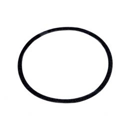 Lochinvar & A.O. Smith 100327114 Volute Gasket