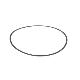 Armstrong Fluid Technology 106158-000 Volute Body Gasket