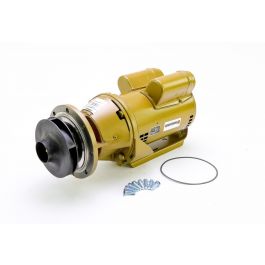 Armstrong Fluid Technology 110116MF-304 3/4HP Pump Less Volute H-54LV/MF