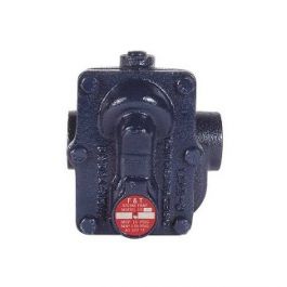 Armstrong International 15BI3 3/4" Float & Thermostatic Steam Trap 15 PSI Straight Through