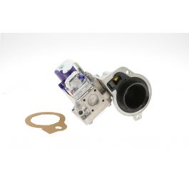 Bradford White 243-46007-02 Natural Gas Valve