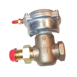 Siemens 256-02013 2-Way N/C Globe Valve Assembly 3/4" FxUM 6.3Cv 10-15 PSI