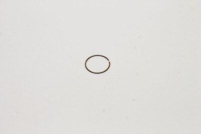 Genie Part # 25882GT – Lock Ring