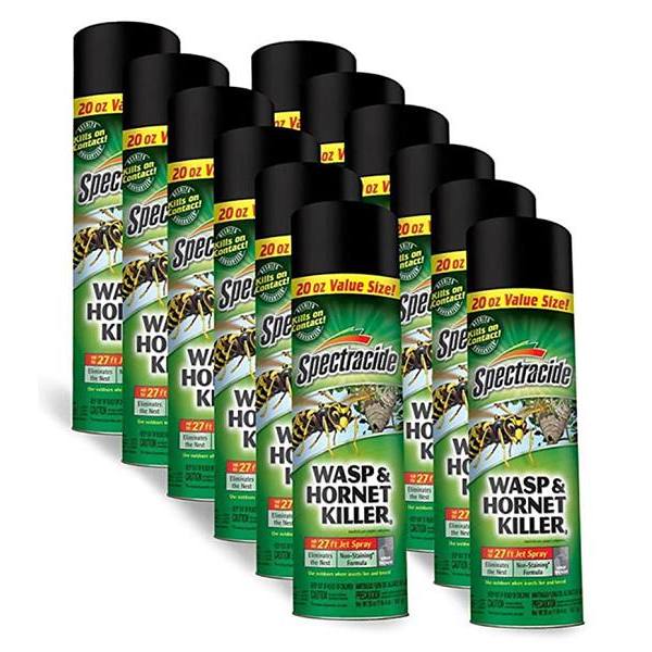 Spectracide Wasp & Hornet Killer, Case Of 12