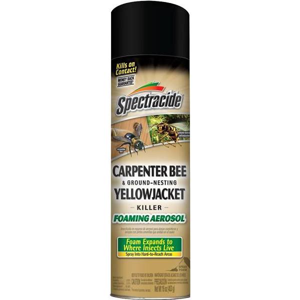 Spectracide 16 Oz. Aerosol Carpenter Bee And Ground-Nesting Yellow Jacket Killer Foam