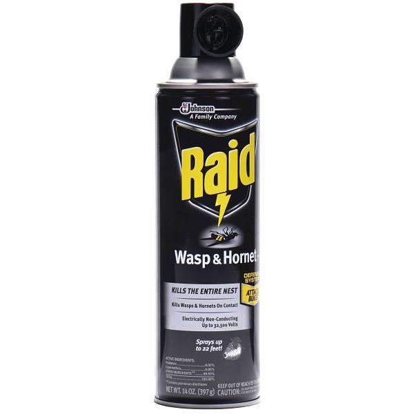 Raid 14 Oz. Wasp And Hornet Killer