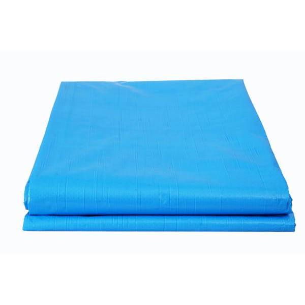 Maintenance Warehouse 12' X 20' Blue Light Duty Tarp