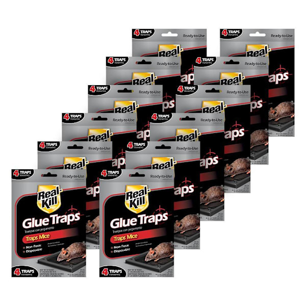 Real Kill Mice Glue Trap (4 Count) Case Of 12, 48 Traps