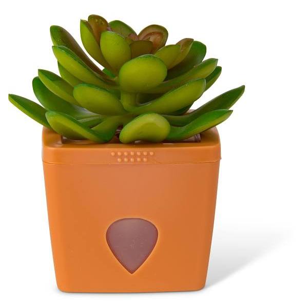 JT Eaton Zendozones Fruit Fly Trap, Terracotta Base, Serene Sandy Case Of 6