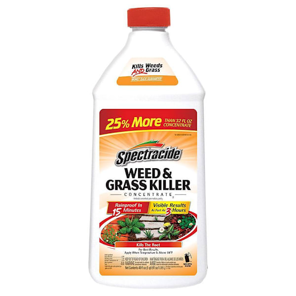 Spectracide Weed & Grass Killer Concentrate 40 Oz Case Of 6