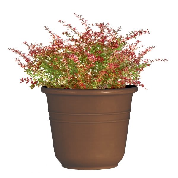 Classic Look Bell Planter, 10-1/2, Brown