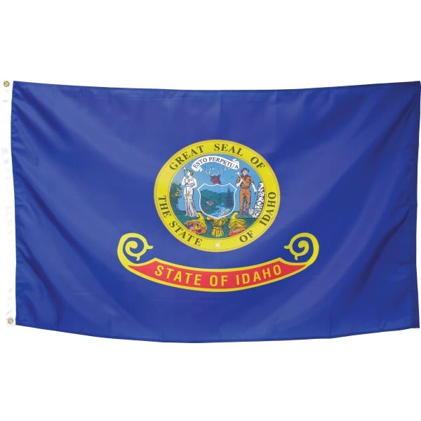 Valley Forge Flag State Flag Idaho 5' X 3'