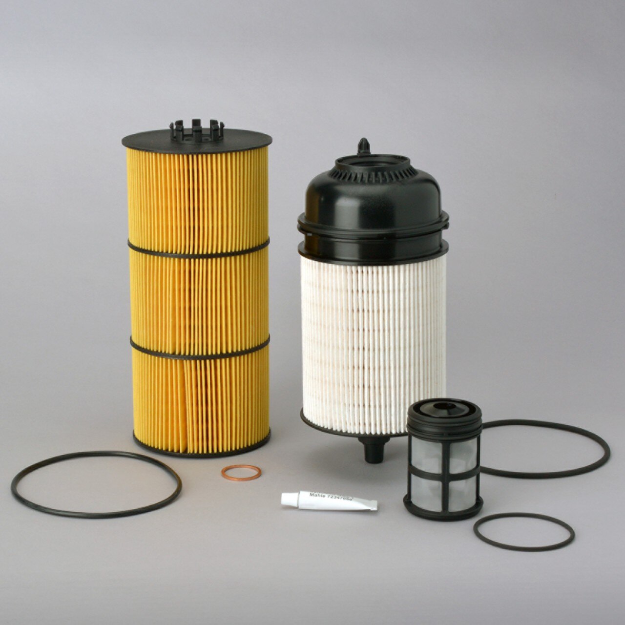 Genie Part # P559665DFS – Liquid Filter Kit