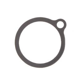 Armstrong International A21825-1 Gasket Trap F/800,880,811,881
