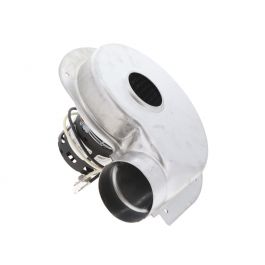 Regal Rexnord - Fasco A301 1-Speed Blower Motor 115V