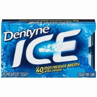 Peppermint Ice Gum, 16 Pc.