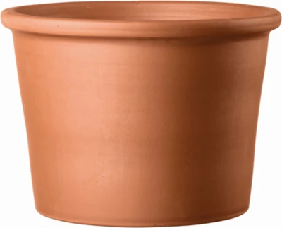 Terracotta Clay Planter, Red, 5.5 In.