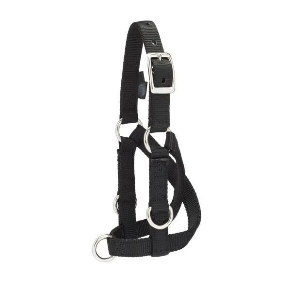 Sheep/Goat Training Halter, Black, 80-140 Lbs., Small