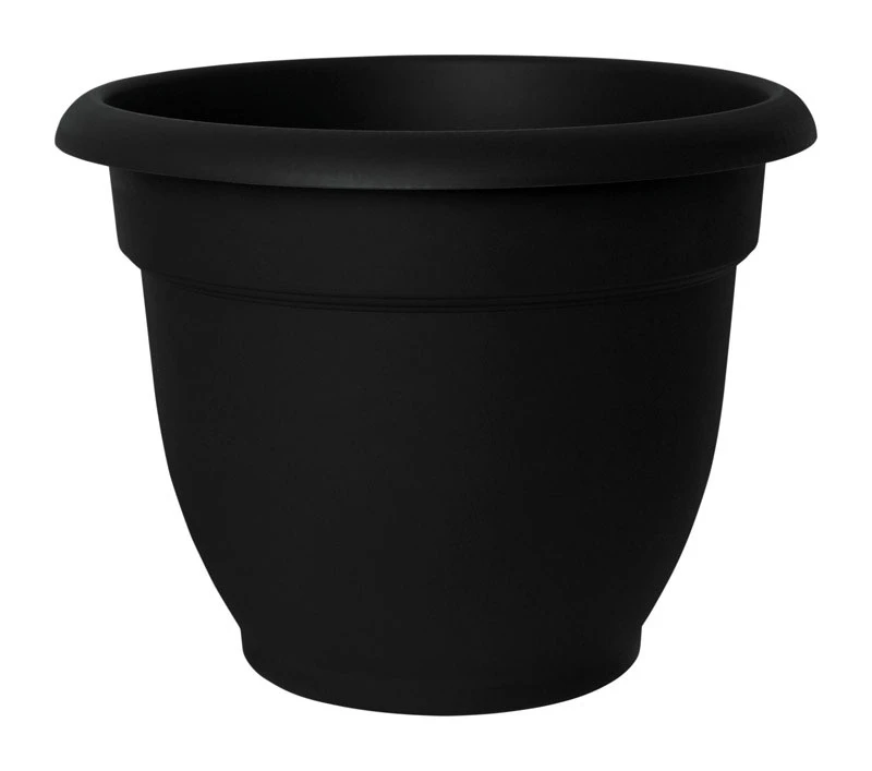 Bell Shaped Planter, Black Plastic, 6 In.