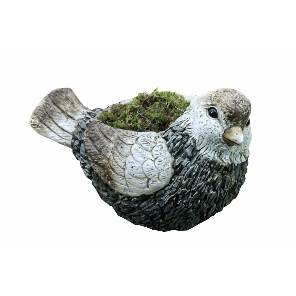 11 Inch Magnesia Cement Bird Garden Planter, Model Qwr482