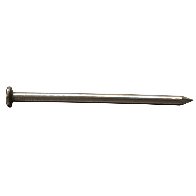 Pro-Fit 2 in. L Common Steel Nail Smooth Shank Flat