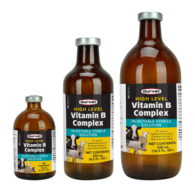 High Level Vitamin B Complex Liquid 250 Milliliter - Model 02 Dfv2302