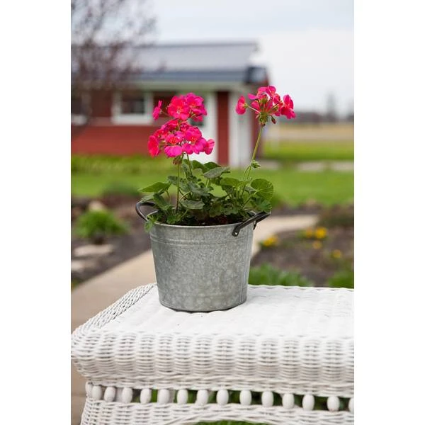 Products 83250 8 in. Washtub Planter, Galvanized - Pack of 6