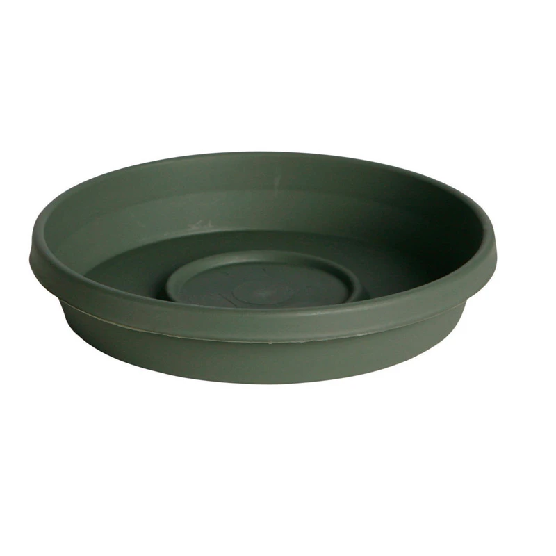 Planter Saucer, Plastic, Living Green, 14 In.