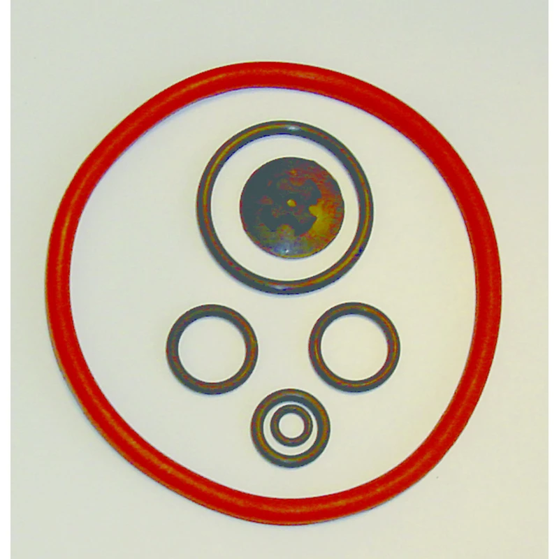 Piston Pump Repair Kit For Models 454, 456, 457 And 457-rollabout