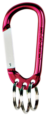 Carabineer & 3 Key Rings