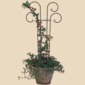L530 36 Inch Scroll Pot Trellis For Planters And Borders