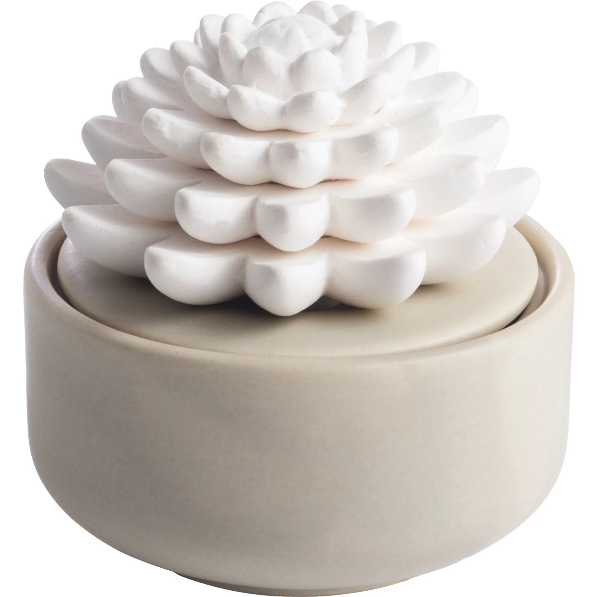 Airomé Porcelain Passive Diffuser, Succulent