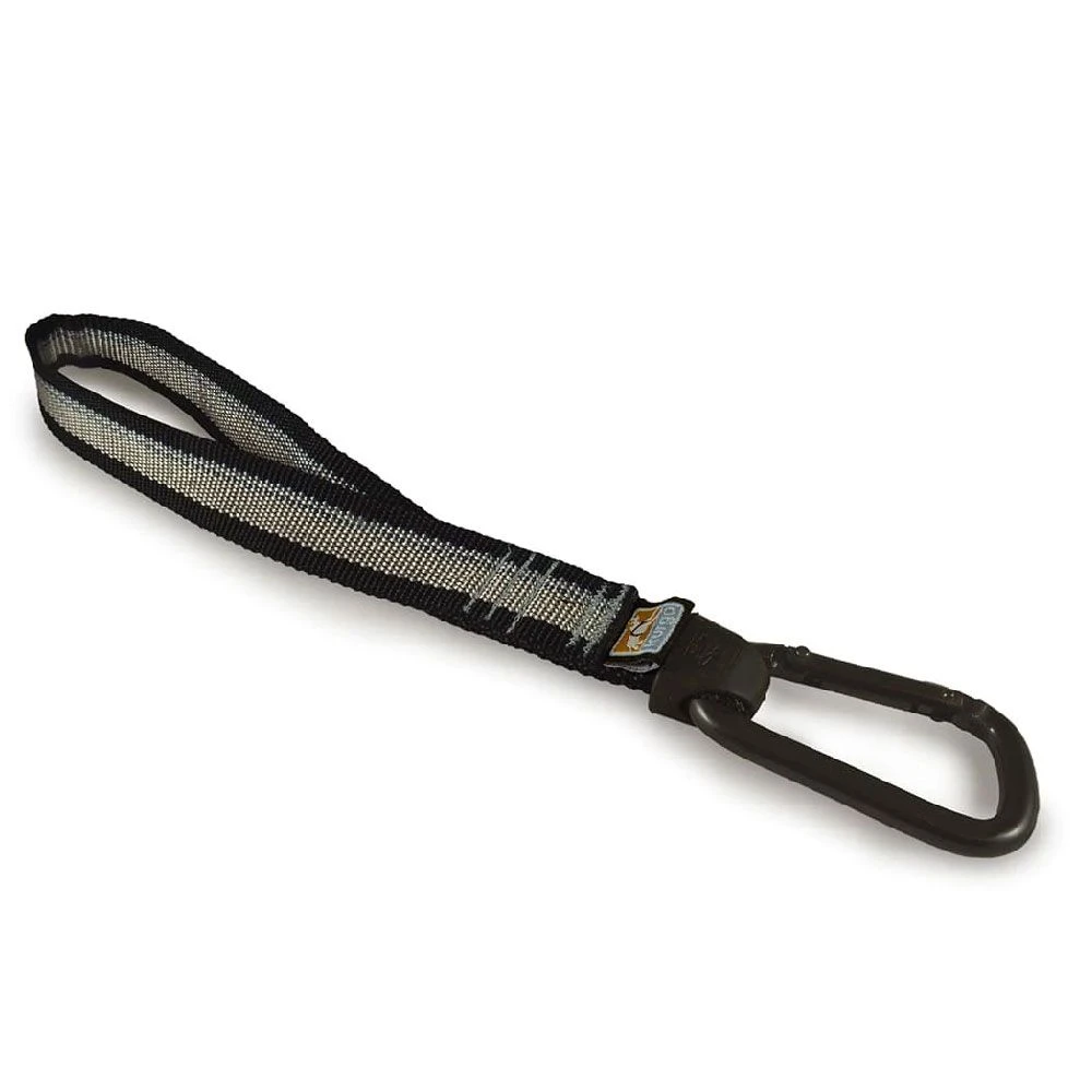 Dog Seat Belt Safety Tether with Carabiner