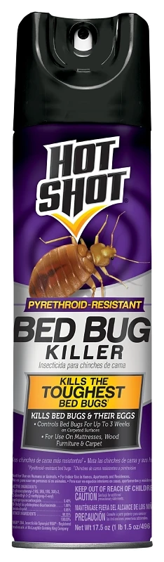 Bed Bug Killer, 17.5 oz. Aerosol