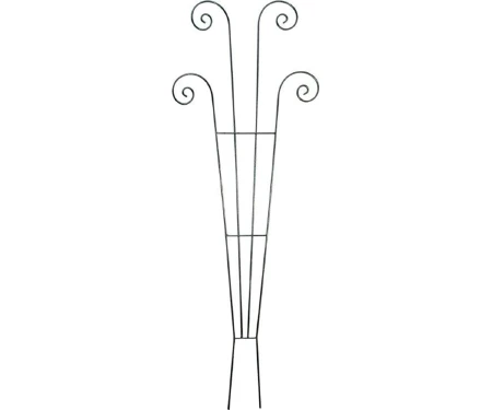 Fan Trellis