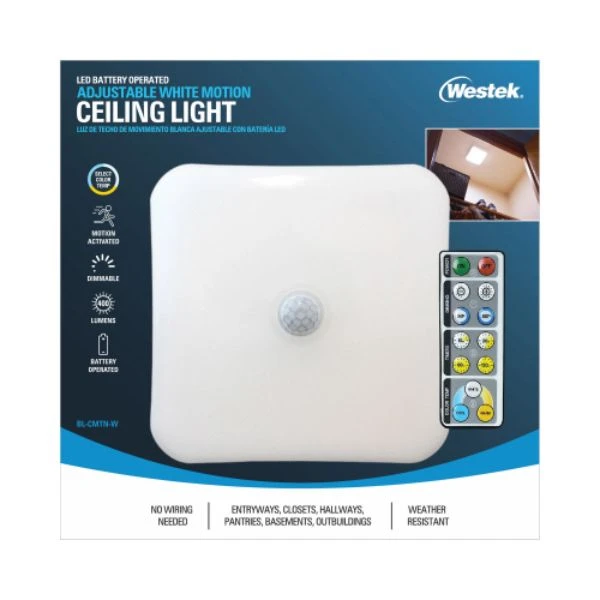 LED Dual-Activated Ceiling Light, Motion or Remote On/Off, Battery Operated