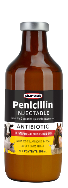 Durvet Pen-aqueous Injectable Antibio 250 Milliliter - 01 YCO1601 -Pack of 12