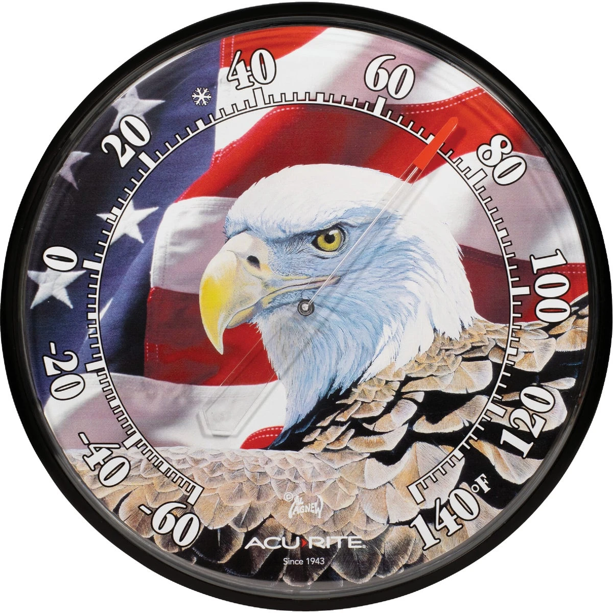12.5 Inch Diameter Plastic Dial Eagle/flag Indoor & Outdoor Thermometer
