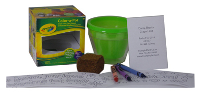 Coloring Planter & Seed Starting Kit, Model 50154, Counter Display