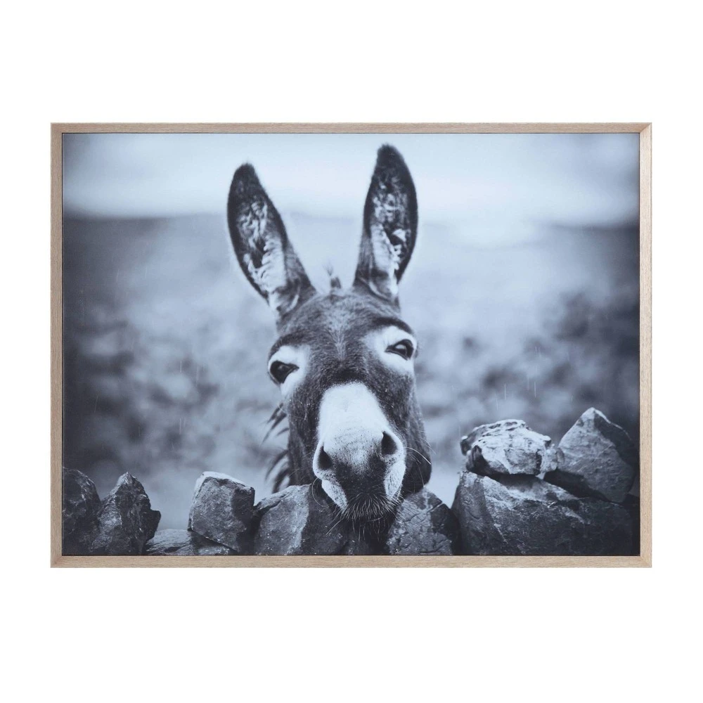 38.7" X 28.7" Framed Black And White Donkey Canvas Wall Art By 3r Studio