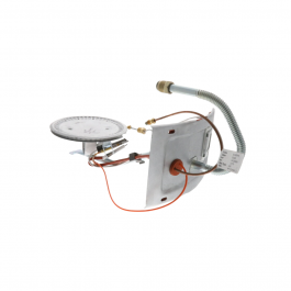 Rheem-Ruud AM44969 Burner Assembly