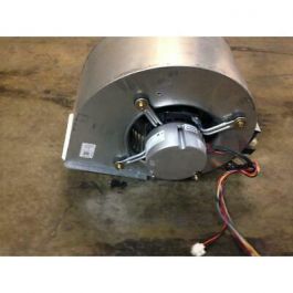 Rheem-Ruud AS-101886-13 Blower Assembly