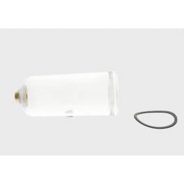 Drainview Products BK-D17 Bowler Glass Enclosure No Fitting