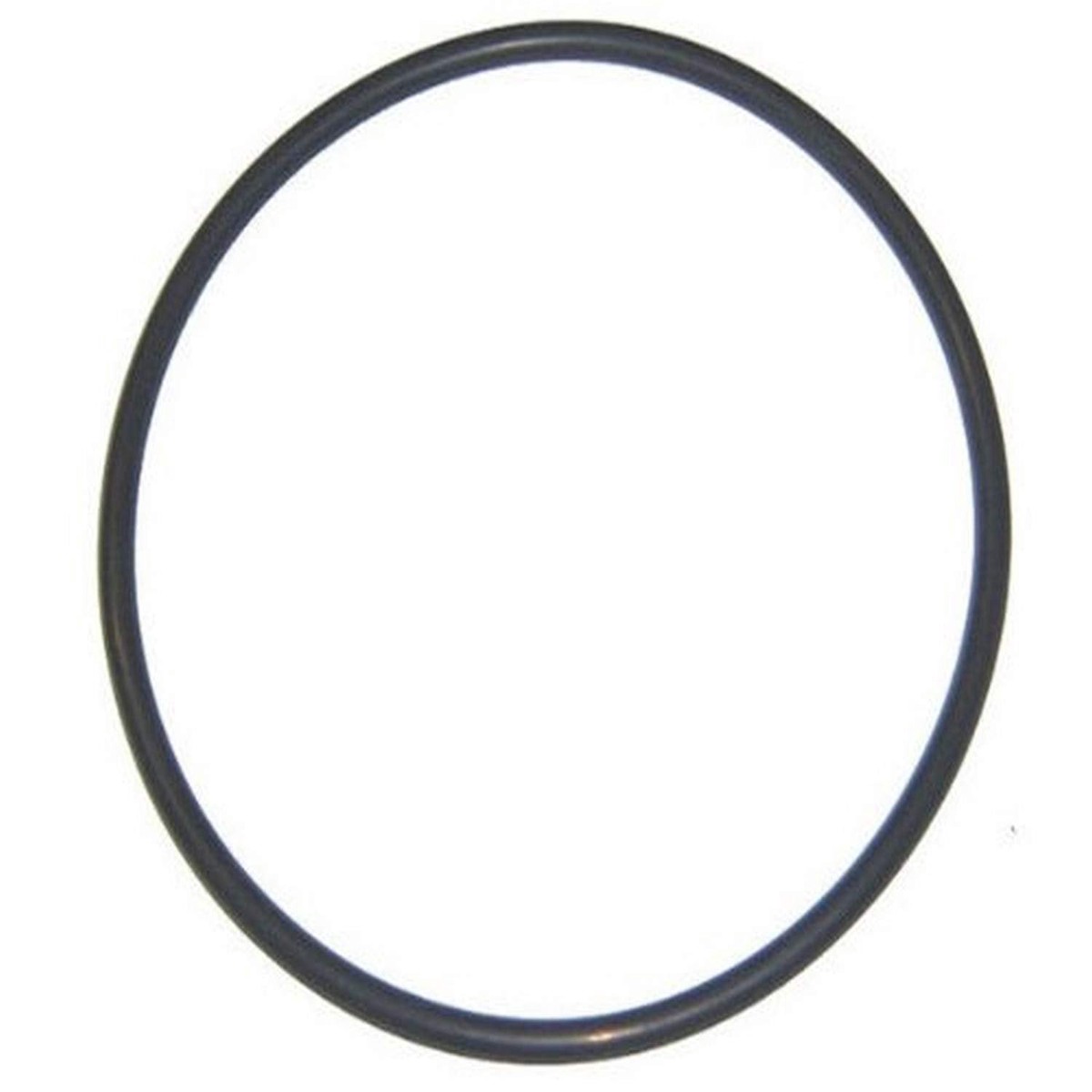 Hayward CX400G Filter Tank and Pump Lid Oring
