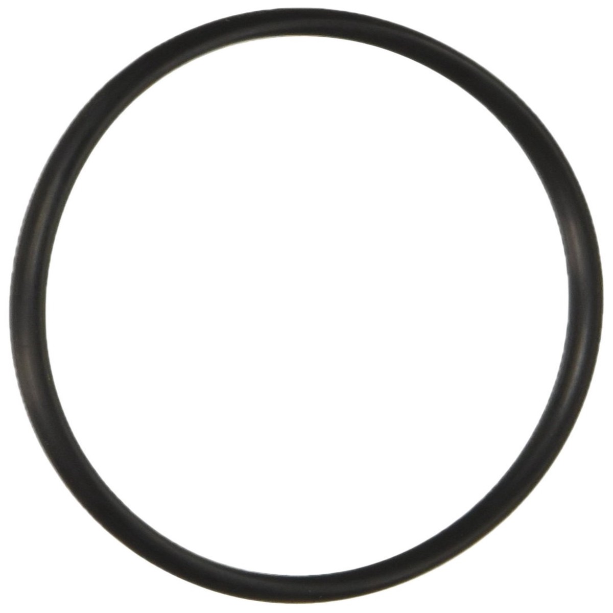 Hayward D.E.CX4201CA Tank Fitting Assembly Replacement for Hayward Perflex Extended-Cycle D.E. Filter