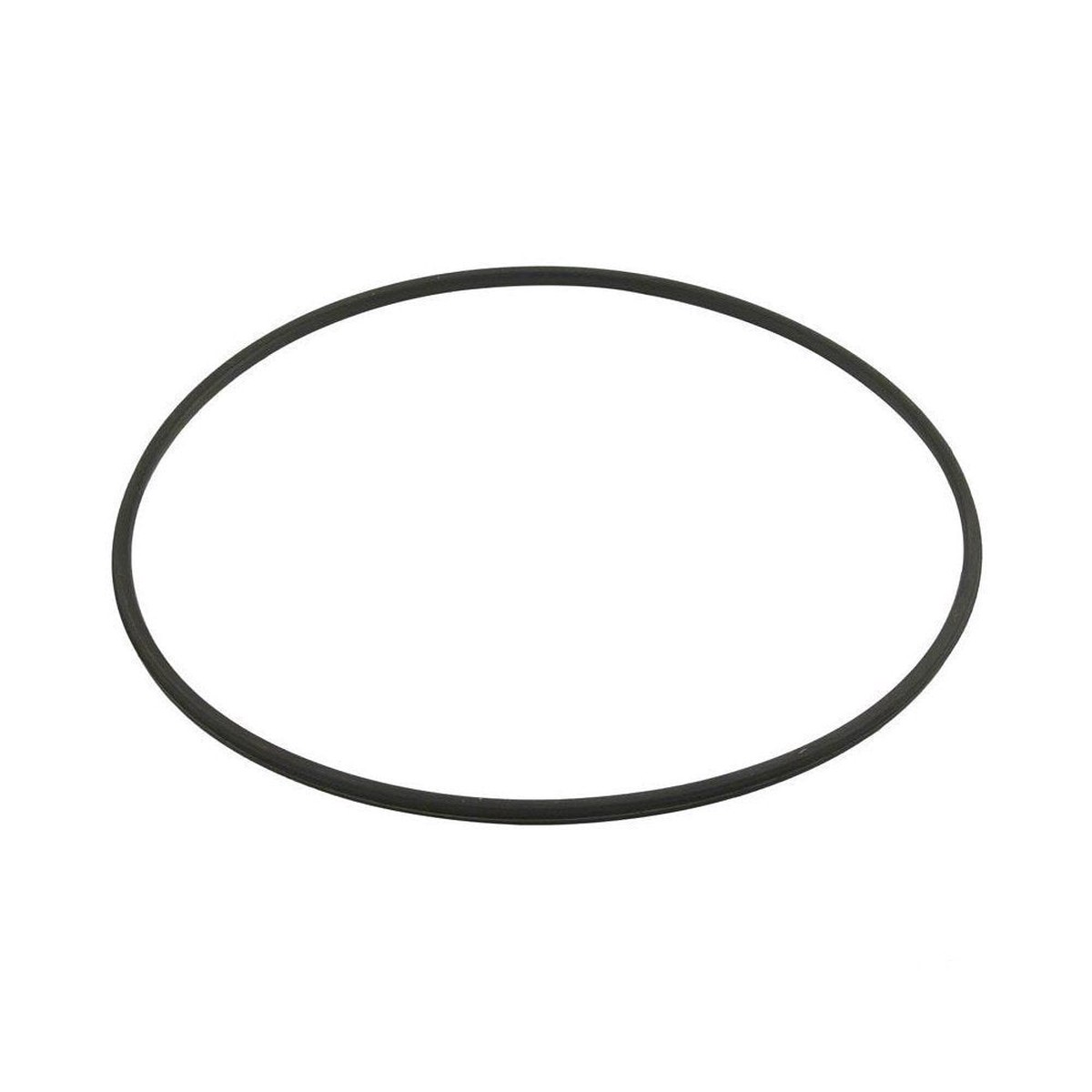 Hayward DEX2422Z2 Metal Reinforced Filter Seal Replacement for Select Hayward Filters